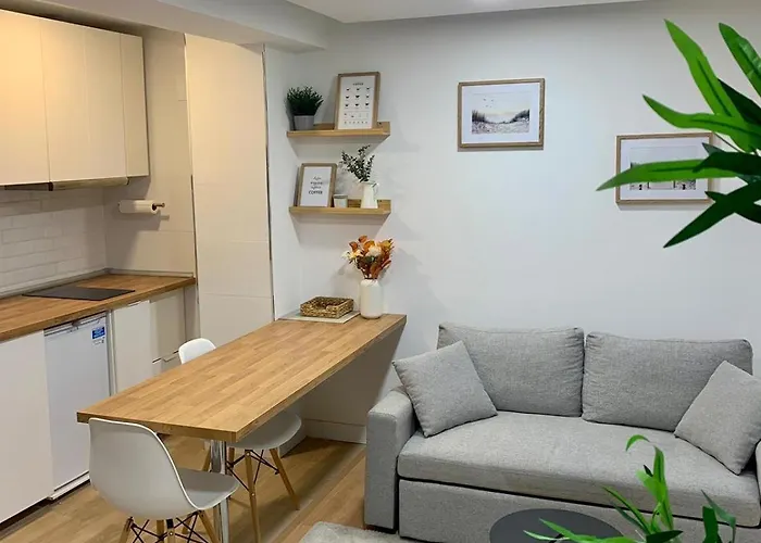 Zarzuela Campoamor Centro, Plaza De Garaje אוביידו